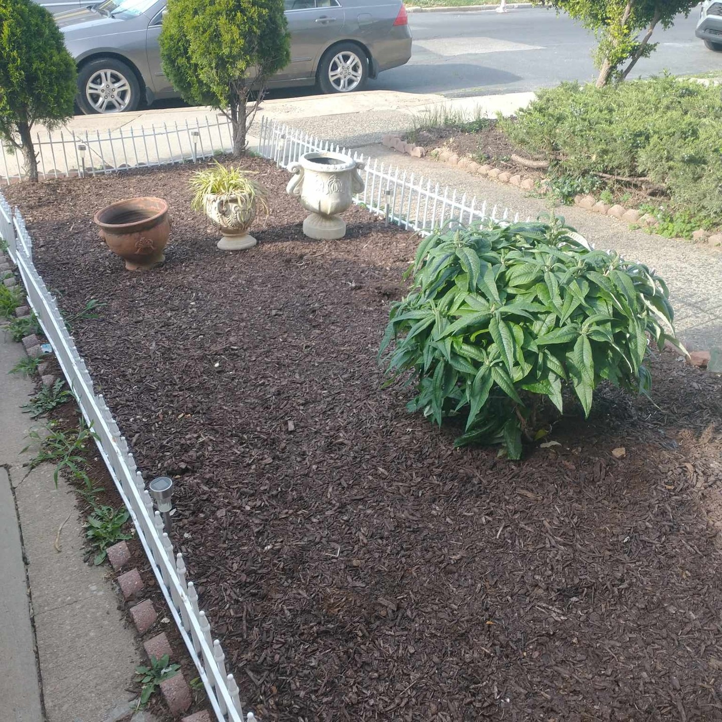Front Yard Weed Removal and Mulching
